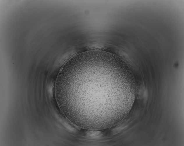 X0000089960334200707061145