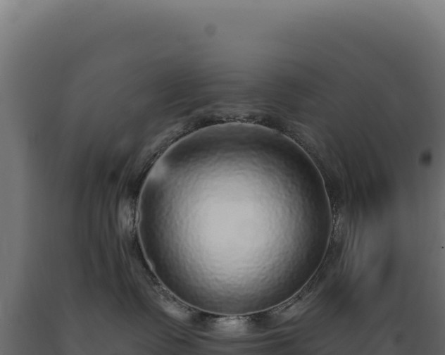 X0000089960335200707061145