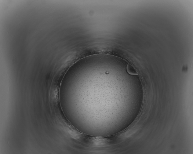 X0000089960336200707061145
