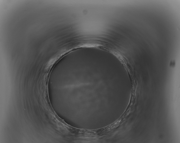 X0000089960337200707061144
