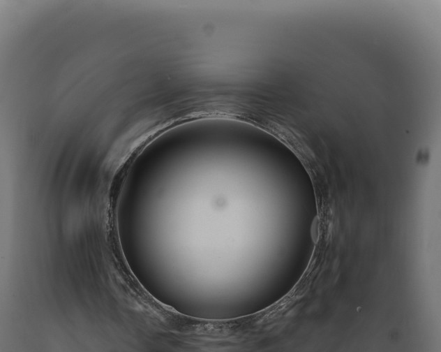 X0000089960338200707061144