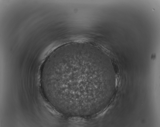 X0000089960339200707061144