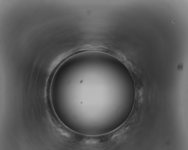 X0000089960340200707061144