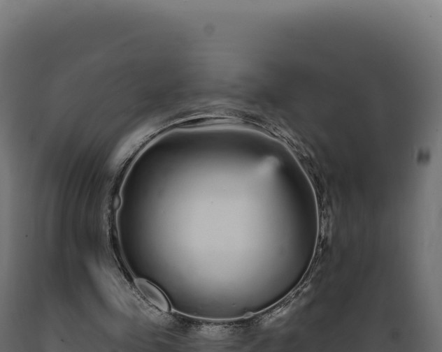 X0000089960341200707061144