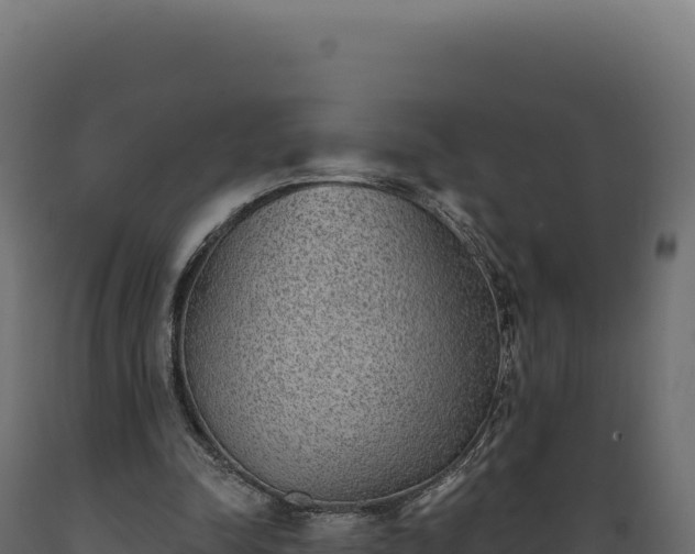 X0000089960342200707061144