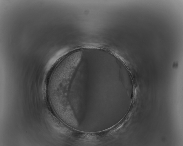 X0000089960343200707061144