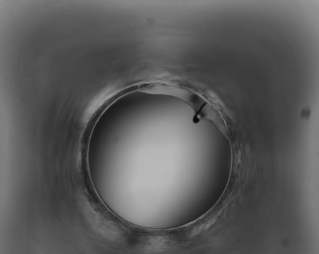X0000089960344200707061144