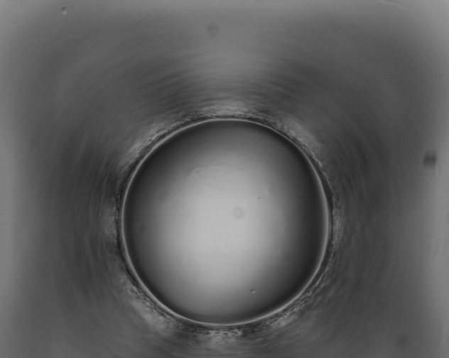 X0000089960345200707061145