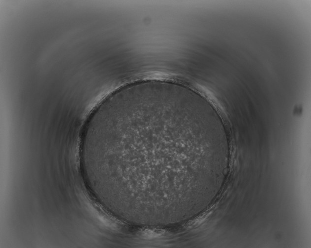 X0000089960346200707061145