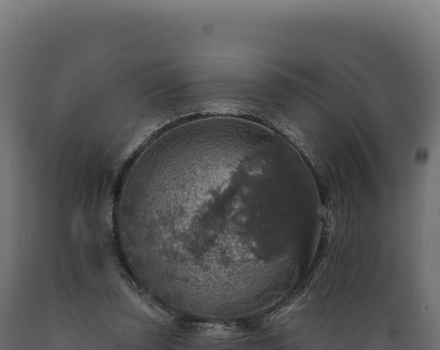 X0000089960347200707061145