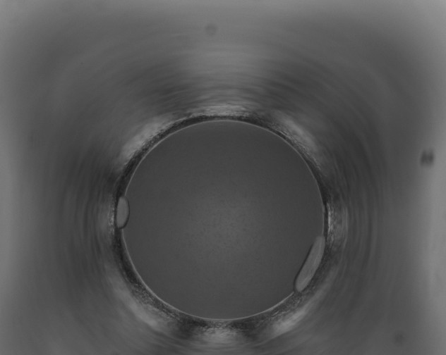 X0000089960348200707061145