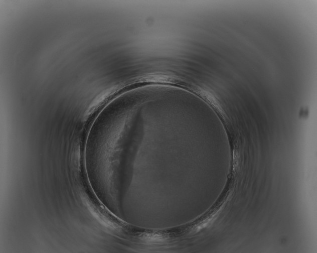 X0000089960349200707061145