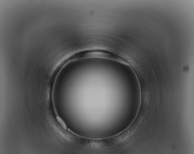 X0000089960350200707061145