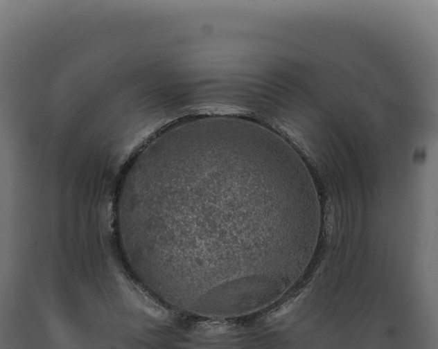 X0000089960351200707061145
