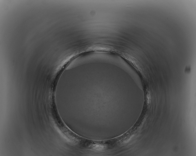 X0000089960352200707061145