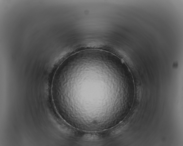 X0000089960354200707061145