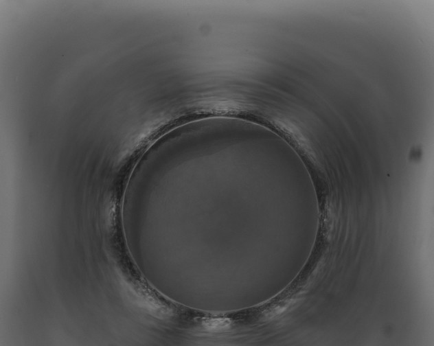 X0000089960355200707061145