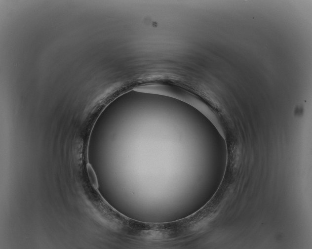 X0000089960356200707061145