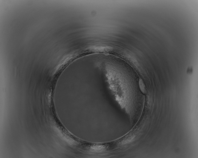 X0000089960357200707061145