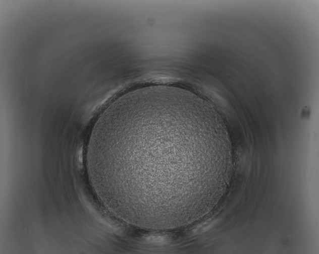 X0000089960358200707061145