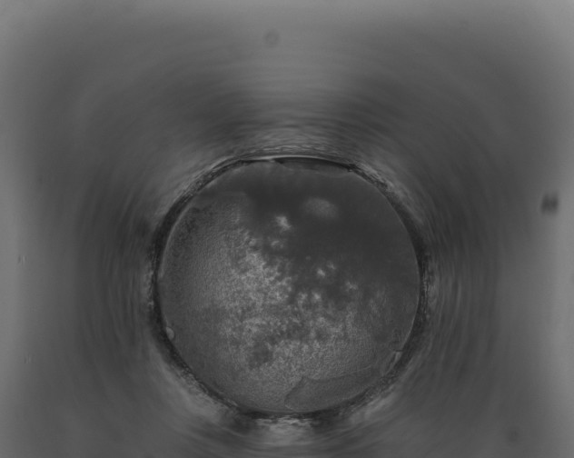 X0000089960359200707061145