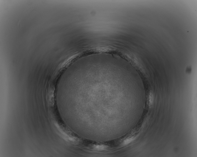 X0000089960360200707061145