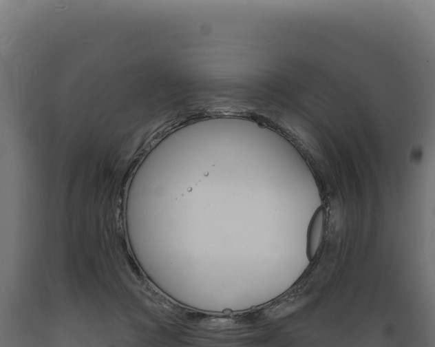 X0000089960361200707061145