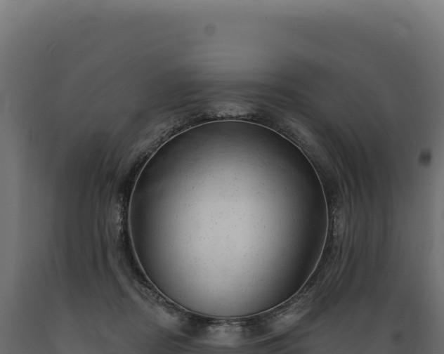 X0000089960362200707061145