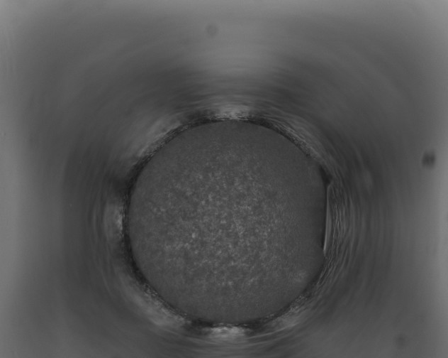 X0000089960363200707061145