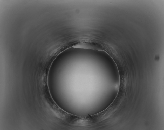 X0000089960364200707061145