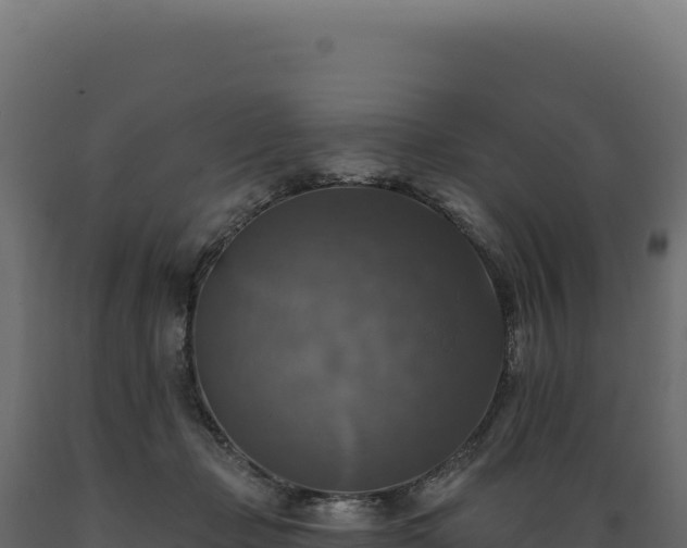 X0000089960365200707061145