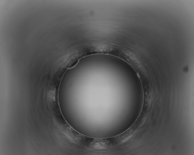 X0000089960368200707061145