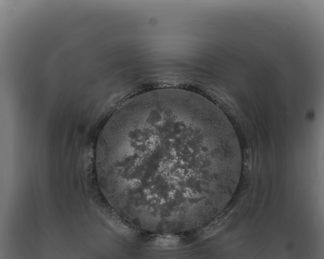 X0000089960369200707061145
