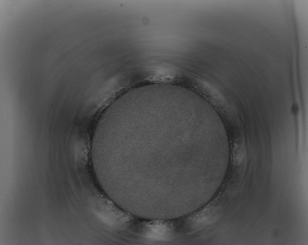 X0000089960370200707061145