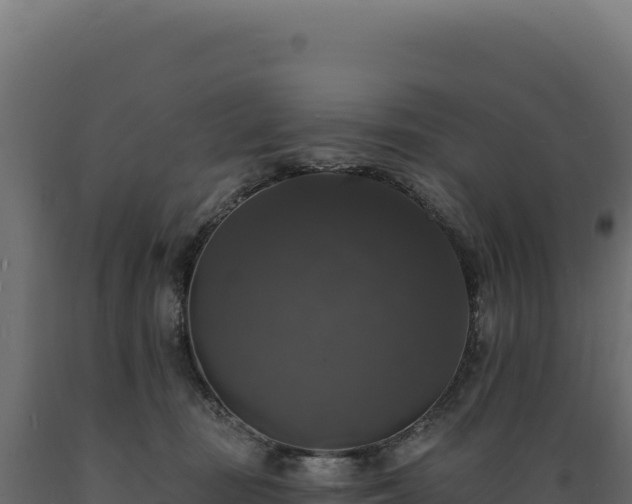X0000089960371200707061145