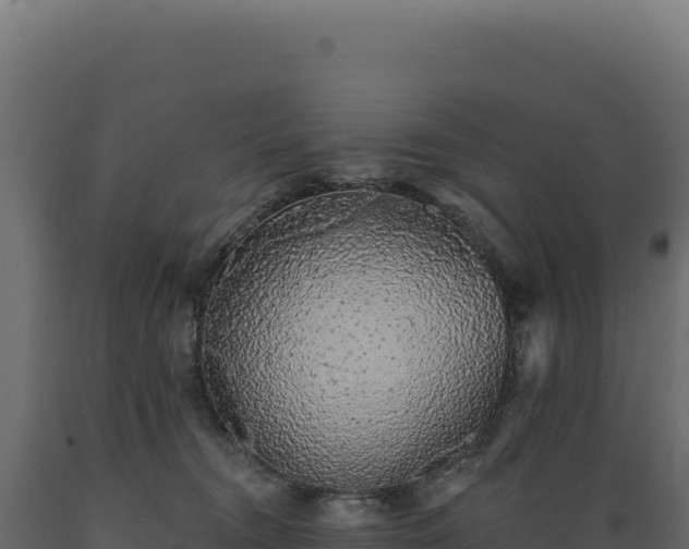 X0000089960372200707061145