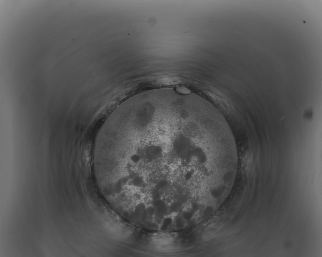 X0000089960373200707061145