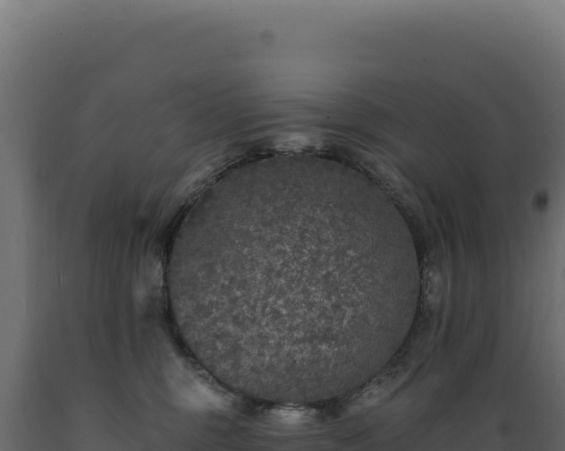 X0000089960375200707061145