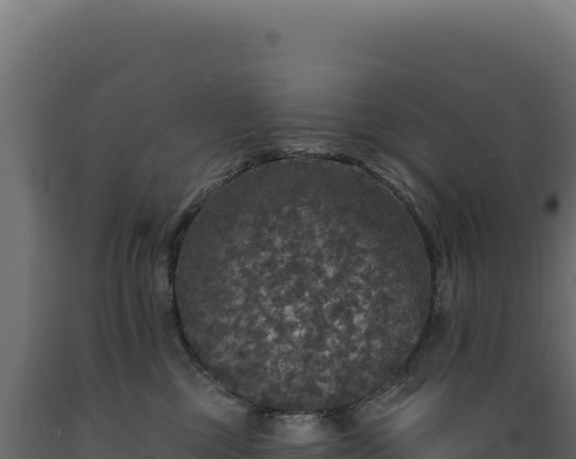 X0000089960377200707061145