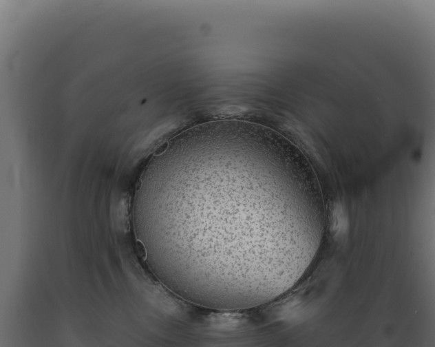 X0000089960378200707061145