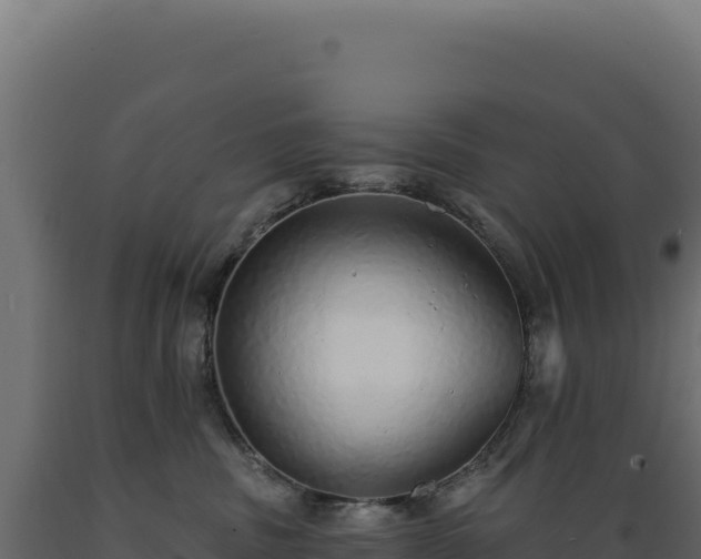 X0000089960379200707061145