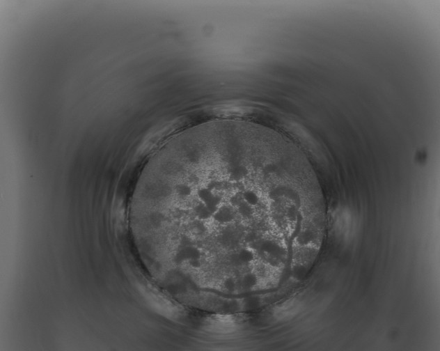 X0000089960381200707061145