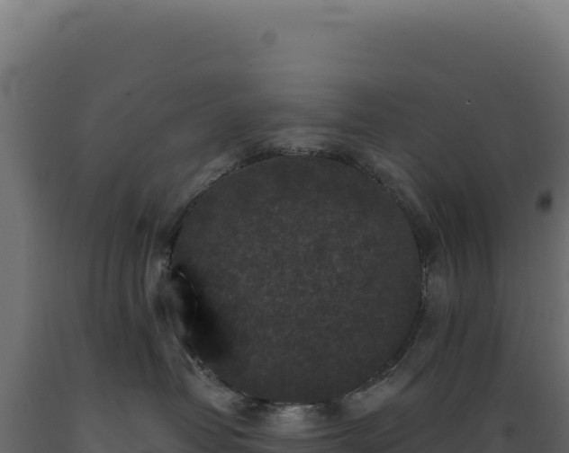 X0000089960382200707061145
