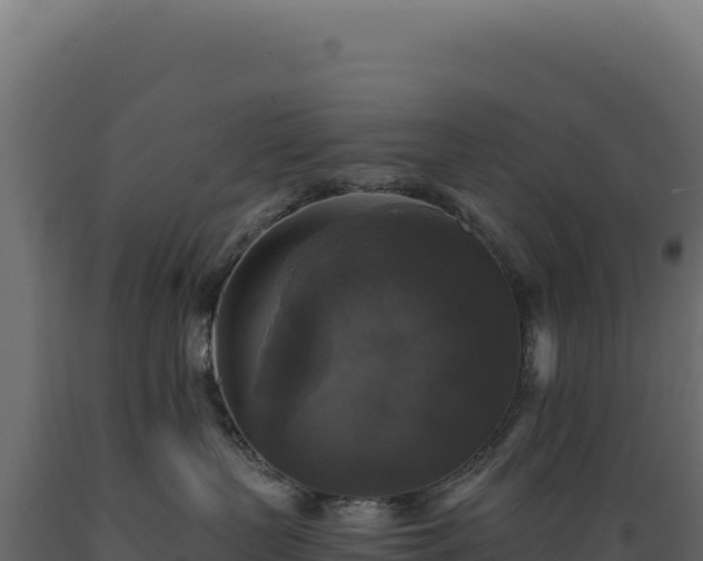 X0000089960383200707061145