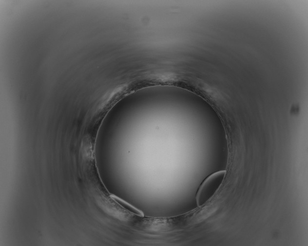 X0000089960384200707061145