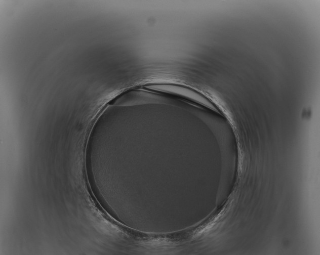 X0000089960385200707061144