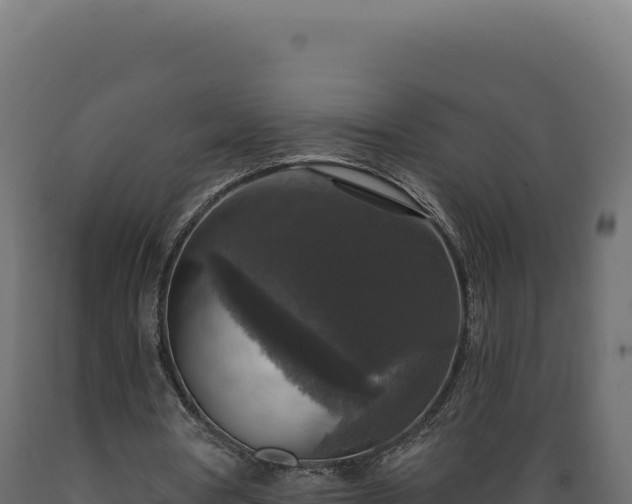 X0000089960386200707061144