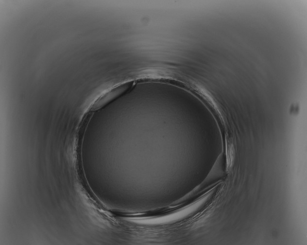 X0000089960387200707061144