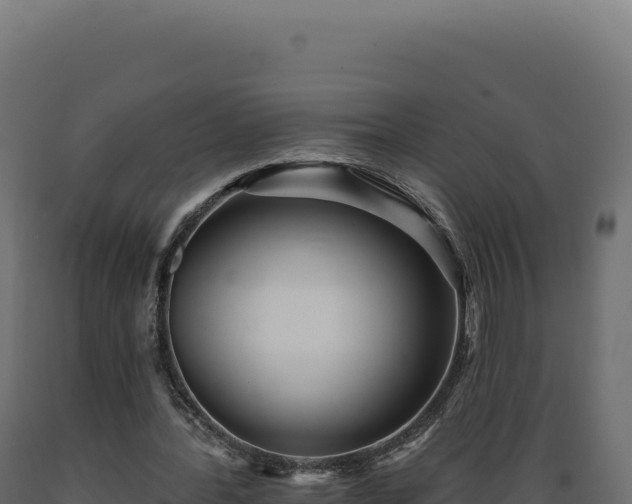 X0000089960388200707061144