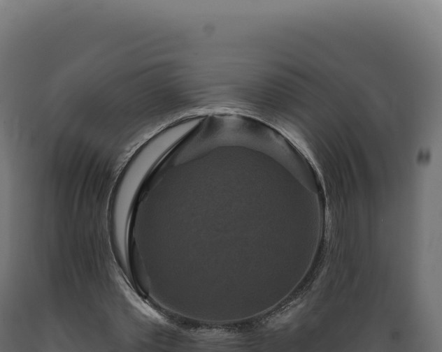 X0000089960389200707061144